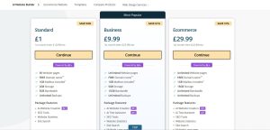 AI Website Builder & Ease of Use