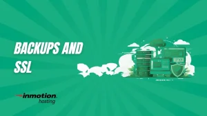 Are Critical Features Like Backups and SSL Too Limited on Entry Plans