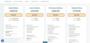 Build Me a Website (Done-for-You Service)