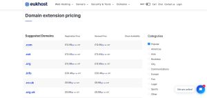 Domain Name Registration