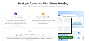 Hosting Performance & Speed 20I