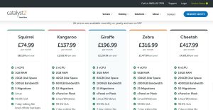 Managed VPS Hosting