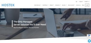 What Is Hostek Hosting