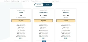 WordPress Hosting (Managed)