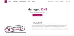LCN Nameservers & DNS Configuration