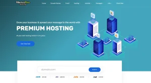 How Does Monkey Tree Hosting Infrastructure Work