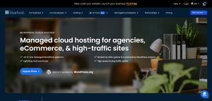 Bluehost